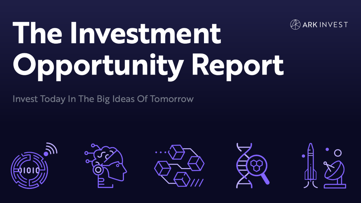 The Investment Opportunity Report